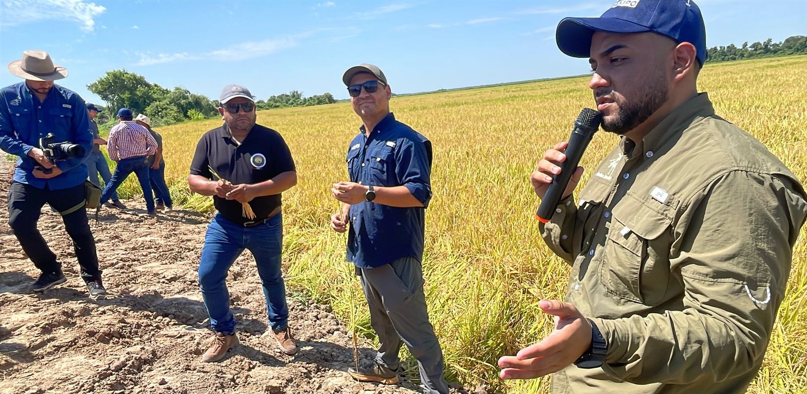 Jornada de campo impulsa la producción de arroz en Villa Oliva